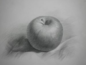 Học vẽ tranh tĩnh vật lọ hoa và quả chì đơn giản - cơ bản từ vẽ đơn thể hình ảnh 3