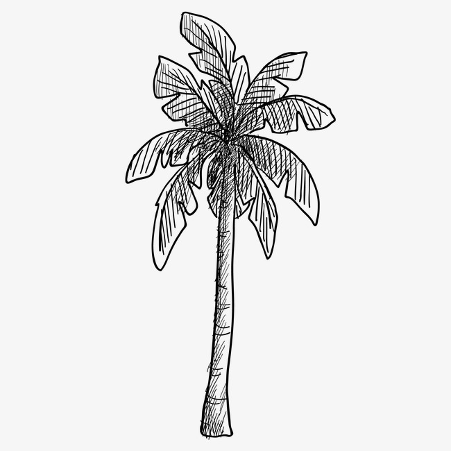 Kỹ thuật ký họa cây cối hình ảnh 2